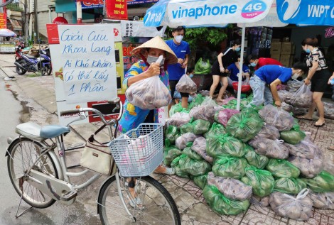 Giúp nông dân tiêu thụ khoai lang và tặng khoai miễn phí cho người dân có hoàn cảnh khó khăn