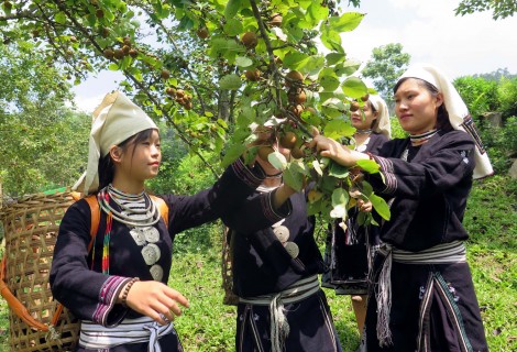 Đấu tranh, phòng ngừa các hoạt động lợi dụng vấn đề dân tộc xâm phạm an ninh quốc gia