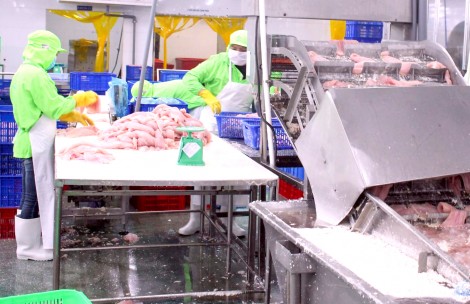 Xuất khẩu nhiều mặt hàng đạt mức tăng trưởng cao