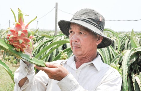 Chuyển đổi tư duy đầu tư

làm kinh tế nông nghiệp