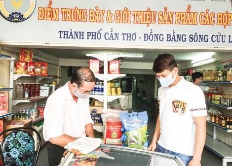 Hợp tác xã tìm hướng

đi mới để thích ứng