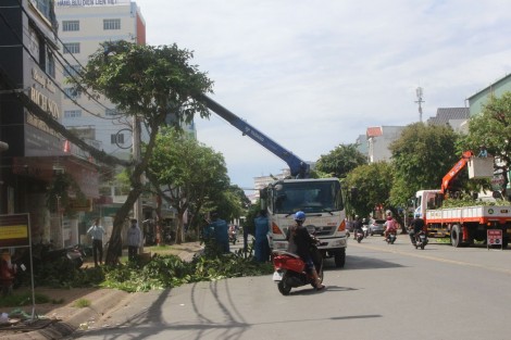 Phòng, chống thiên tai đảm bảo an toàn, kết hợp với phòng, chống dịch