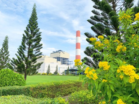 Công ty Nhiệt Điện Cần Thơ hưởng ứng Ngày Môi trường thế giới và Tháng hành động vì Môi trường