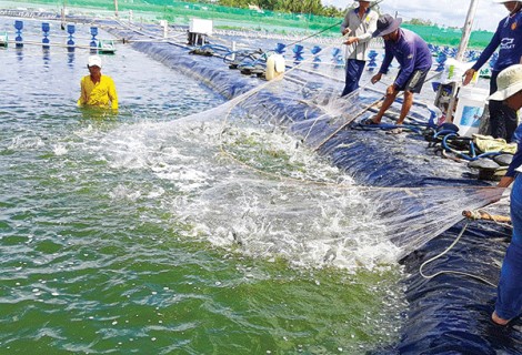 Xoay trục phát triển “thuận thiên” ở ÐBSCLBài 1: Xung lực mới thúc đẩy phát triển 
