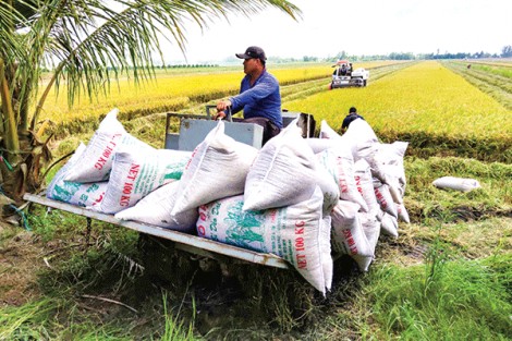 Chuyển biến tích cực phát triển kinh tế - xã hội