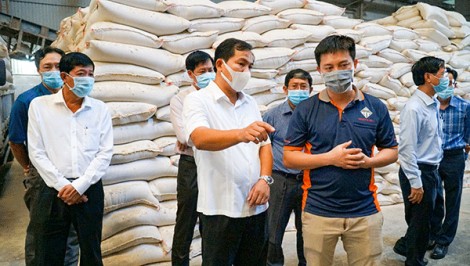 Tăng cường xây dựng, chỉnh đốn Đảng