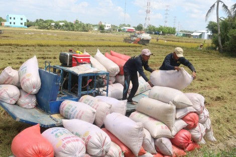 Xoay trục phát triển “thuận thiên” ở ĐBSCLBài 3: Tăng khả năng chống chịu trước các cú sốc