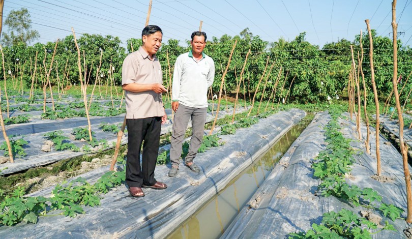 Xoay trục phát triển “thuận thiên” ở ĐBSCL 

Bài 4: Linh hoạt trong điều kiện mới