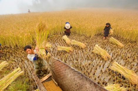 Trung Quốc lo cách biệt giàu - nghèo