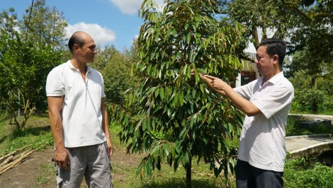 Năng động hỗ trợ nông dân