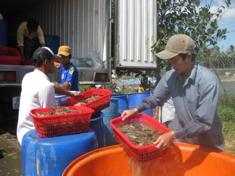 Tín hiệu tích cực từ xuất khẩu thủy sản