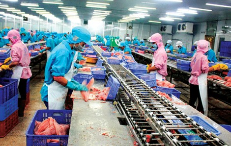 Nỗ lực gỡ khó cho xuất khẩu