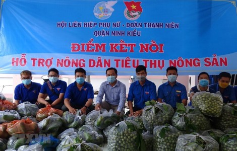 Đánh giá việc sản xuất nông sản, đảm bảo cung ứng lương thực - thực phẩm