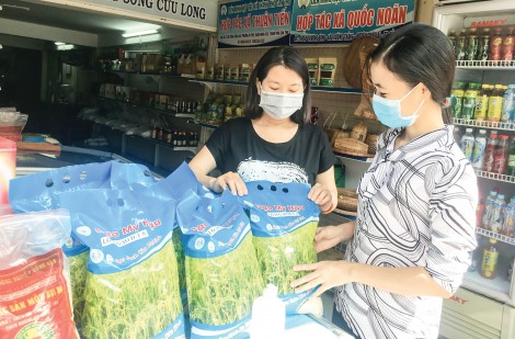Tăng nguồn lực hỗ trợ hợp tác xã