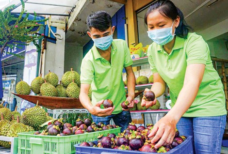 Hành lang “Chữ thập đỏ” cho rau củ quả - tại sao không?