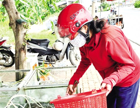 Ðầu ra gặp khó vì ảnh hưởng bởi dịch COVID-19,nhiều loại thủy sản giảm giá