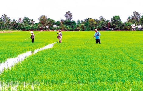 Tiết giảm chi phí nâng cao hiệu quả sản xuất