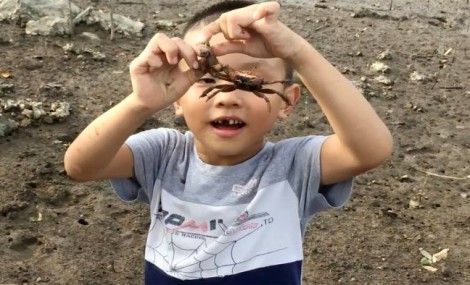 Mắm Cáy