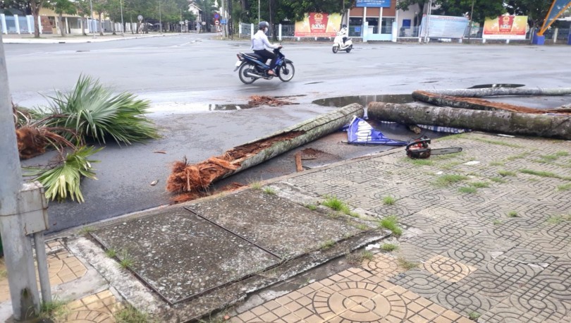 TP Cần Thơ: Mưa giông gây tốc mái, đổ ngã cây xanh trên địa bàn quận Ninh Kiều và Ô Môn