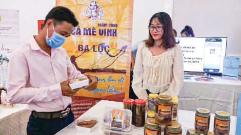 Phát triển mạng lưới khởi nghiệp đổi mới sáng tạo quốc gia