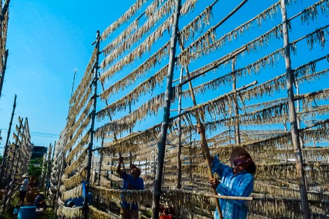 “Gác chèo lên, ta nướng khô khoai”
