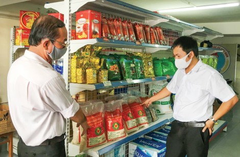 Giải pháp cấp bách nâng cao năng lực thích ứng cho hợp tác xã