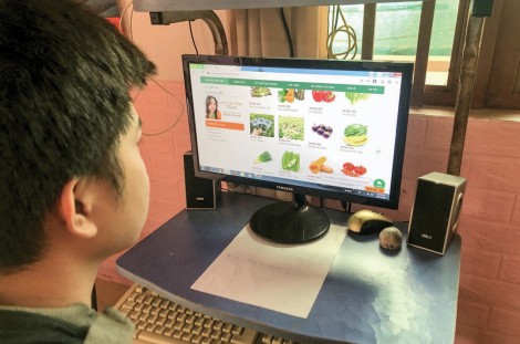Thêm nguồn thực phẩm sạch nhờ trồng rau tại nhà
