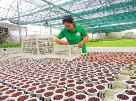 Chung sức hỗ trợ doanh nghiệp thích ứng với biến đổi khí hậu