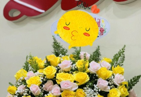 Misshoa- Dịch vụ điện hoa tươi tại Cần Thơ