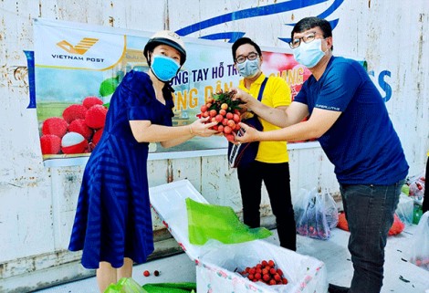Vietnam Post hỗ trợ hộ sản xuất tiêu thụ nông sản