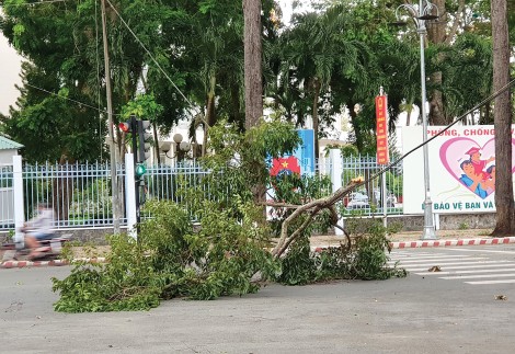 Phòng chống thiên tai phù hợp yêu cầu phòng, chống dịch