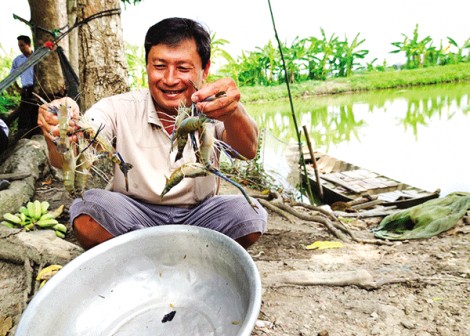 Lối mở để doanh nghiệp đa dạng hóa sản phẩm thủy sản xuất khẩu