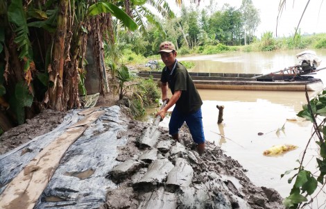 Dự báo lũ ở mức thấp nhưng triều cường có khả năng cao hơn trung bình nhiều năm