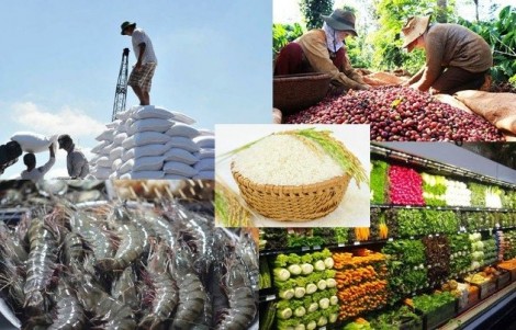 Bộ Công Thương chỉ thị "Tăng cường quản lý xuất khẩu, nhập khẩu một số mặt hàng chiến lược"