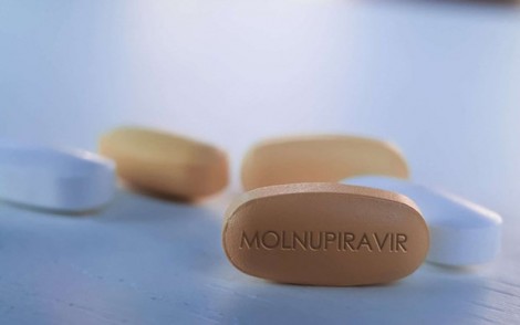 Thuốc kháng virus Molnupiravir có tỷ lệ âm hóa virus cao