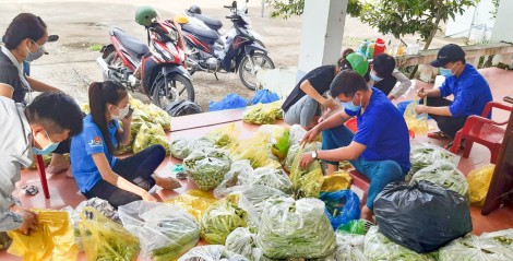 Nỗ lực chỉ đạo đẩy lùi dịch bệnh