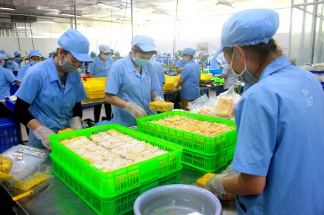 Bình Thủy triển khai, áp dụng và quản lý hệ thống truy xuất nguồn gốc sản phẩm, hàng hóa