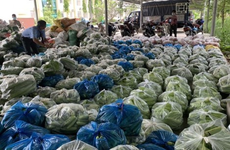 Nông dân Đồng Tháp tiếp sức người dân Thành phố Hồ Chí Minh chống dịch