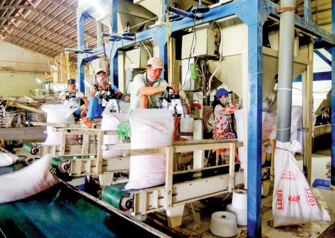 85.500 DN tạm ngừng kinh doanh có thời hạn, ngừng hoạt động