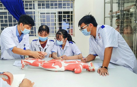 Công bố ngưỡng đảm bảo chất lượng đầu vào đại học nhóm ngành sức khỏe và sư phạm năm 2021
