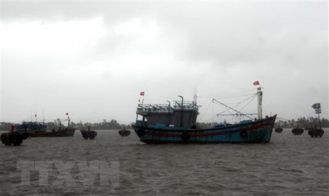 Bão số 5 suy yếu thành áp thấp nhiệt đới trên biển Đà Nẵng-Bình Định