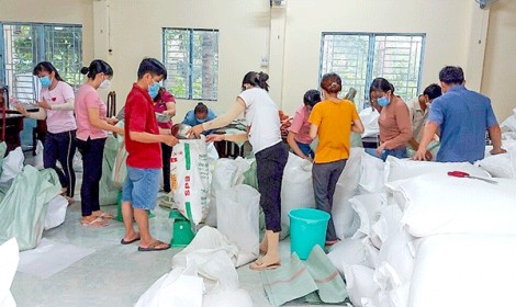 Phát huy vai trò tiên phong, gương mẫu của đảng viên