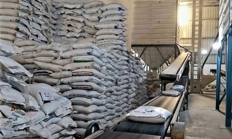 Bộ Tài chính triển khai mua gạo đưa vào dự trữ quốc gia xuất cấp cho người dân bị ảnh hưởng dịch COVID-19