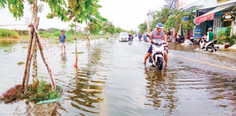 Nhiều giải pháp ứng phó thiên tai, triều cường