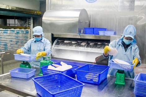 Kiểm soát tốt dịch bệnh để phục hồi, phát triển kinh tế