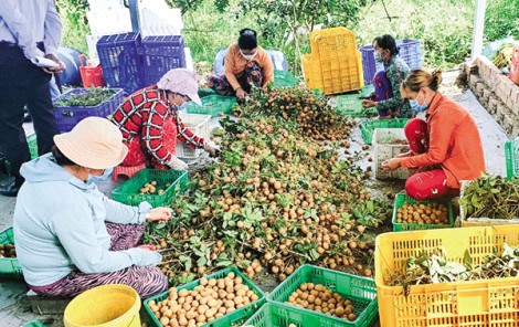 Kết nối thúc đẩy cung - cầu nông, thủy sản