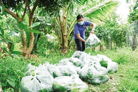 “Gạch nối yêu thương”