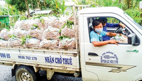 Hỗ trợ hợp tác xã đưa nông sản lên sàn thương mại điện tử