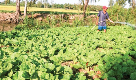 Hỗ trợ nhiều hơn để người dân tiêu thụ nông sản