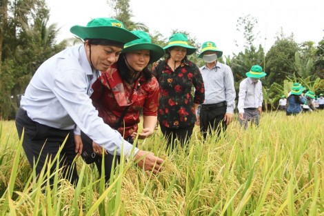 Bài 3: “Bảo bối” giúp Đảng trong sạch, đội ngũ vững mạnh